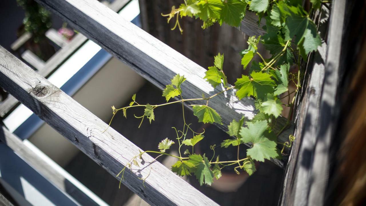 Biohotel Theiner'S Garten Lana Eksteriør billede